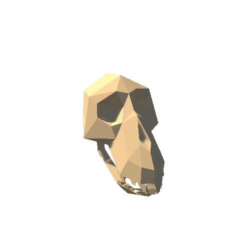 monkey skull